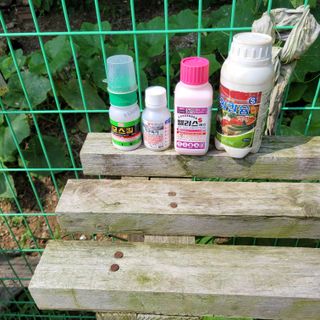 이창화님의 자유주제 · 자유게시판 작성글 사진