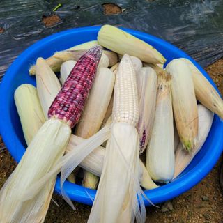 이창화님의 자유주제 · 자유게시판 작성글 사진