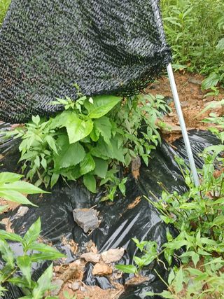 김선웅[포포나무]님의 자유주제 · 자유게시판 작성글 사진