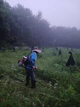김선웅[포포나무]님의 자유주제 · 자유게시판 작성글 사진