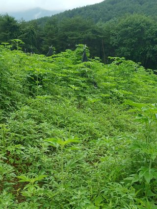 김선웅[포포나무]님의 자유주제 · 자유게시판 작성글 사진