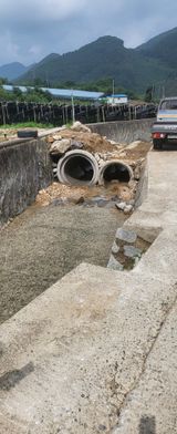 팜모닝 자유주제·자유게시판 게시글 이미지