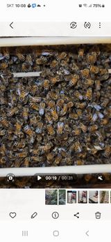 팜모닝 자유주제·자유게시판 게시글 이미지