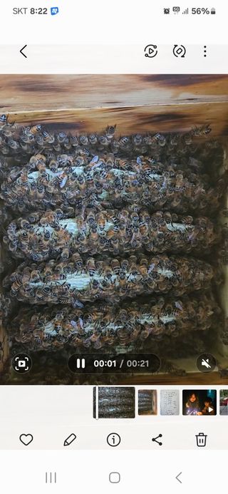 제이팜님의 자유주제 · 자유게시판 작성글 사진