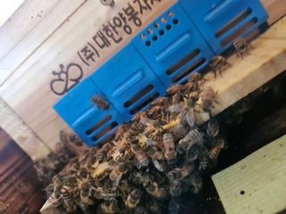 제이팜님의 자유주제 · 자유게시판 작성글 사진