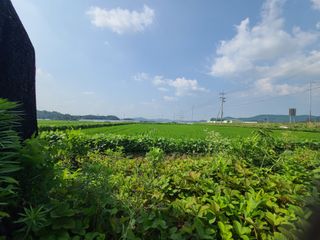 작은뜰 농원님의 자유주제 · 자유게시판 작성글 사진