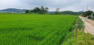 이흥옥님의 자유주제 · 자유게시판 작성글 사진