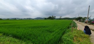 이흥옥님의 자유주제 · 자유게시판 작성글 사진