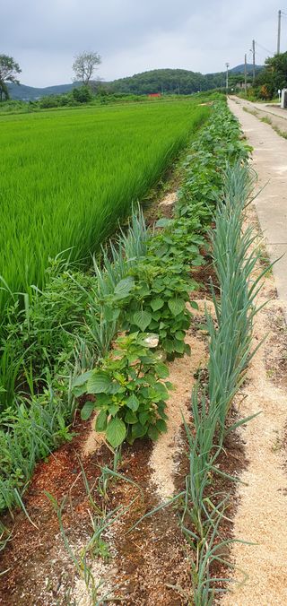 이흥옥님의 자유주제 · 자유게시판 작성글 사진