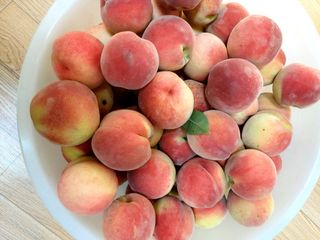 임곡농장김향중님의 🎉상반기 결산 자랑하기 · 참여글 작성글 사진