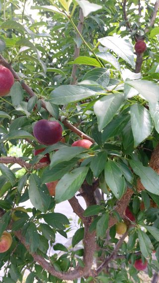 임곡농장김향중님의 🎉상반기 결산 자랑하기 · 참여글 작성글 사진