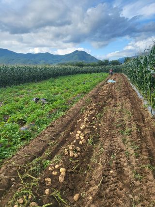 김두영님의 자유주제 · 자유게시판 작성글 사진