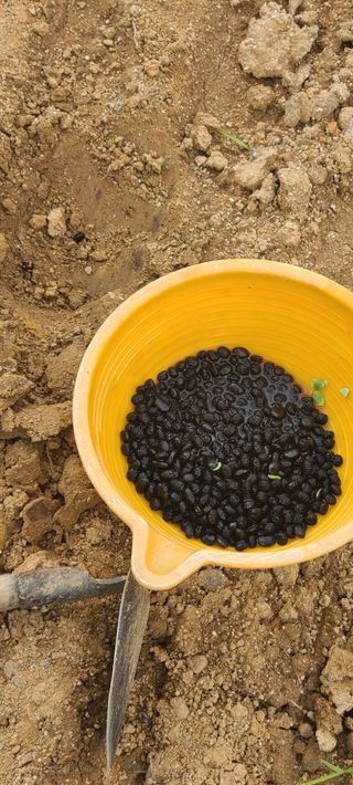 박재석님의 농사, 무엇이든 물어보세요! · 참여글 작성글 사진