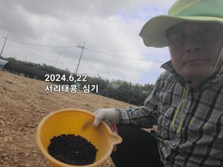 박재석님의 농사, 무엇이든 물어보세요! · 참여글 작성글 사진