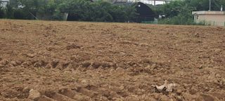 박재석님의 농사, 무엇이든 물어보세요! · 참여글 작성글 사진