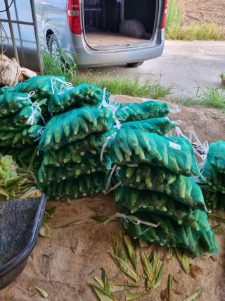 토마토080이인숙님의 자유주제 · 자유게시판 작성글 사진