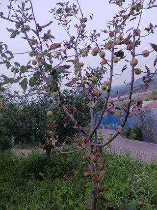 주복자님의 농사, 무엇이든 물어보세요! · 참여글 작성글 사진