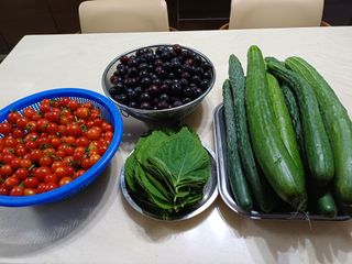 하인수님의 🎉상반기 결산 자랑하기 · 참여글 작성글 사진