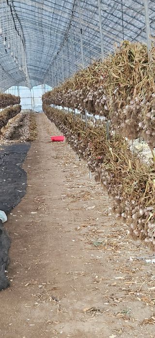 심진택님의 작성글 사진