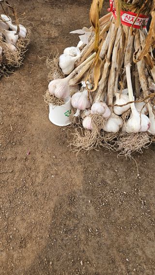 심진택님의 작성글 사진