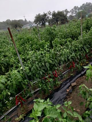 알 수 없음님의 자유주제 · 자유게시판 작성글 사진