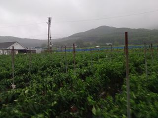 알 수 없음님의 자유주제 · 자유게시판 작성글 사진