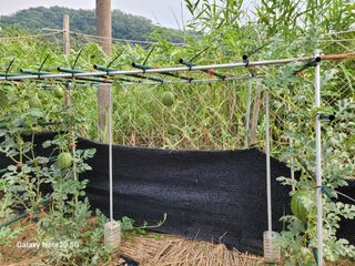 이윤미님의 자유주제 · 자유게시판 작성글 사진