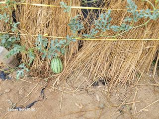 이윤미님의 자유주제 · 자유게시판 작성글 사진