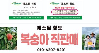 예스팜 청도님의 작성글 사진