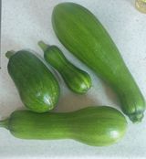 팜모닝 호박·영농일지 게시글 이미지