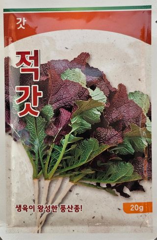 대산농사대장님의 배추 · 품종•종자 작성글 사진