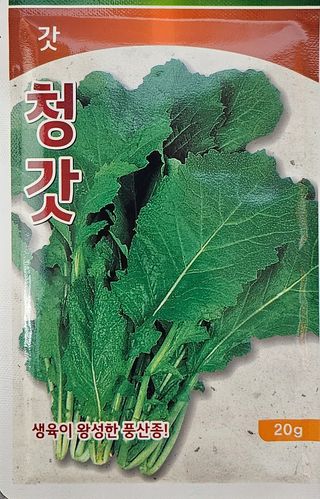 대산농사대장님의 배추 · 품종•종자 작성글 사진