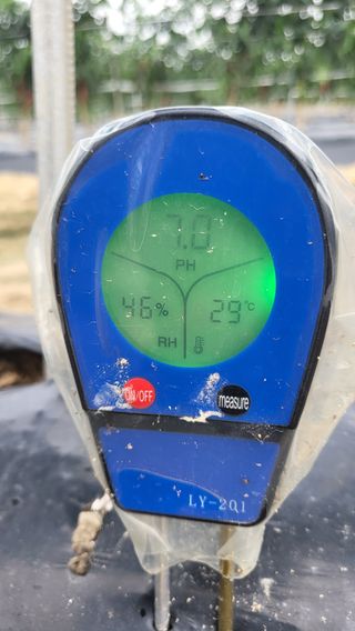 하태묵님의 고추 · 영농일지 작성글 사진