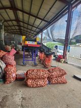 팜모닝 🎉상반기 결산 자랑하기·참여글 게시글 이미지