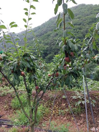 노영성님의 자유주제 · 자유게시판 작성글 사진