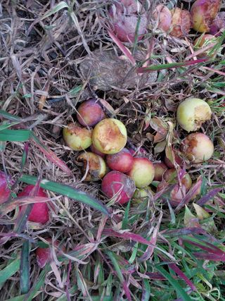 노영성님의 자유주제 · 자유게시판 작성글 사진