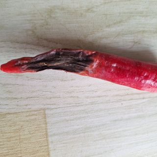 함평군 정순도님의 고추 · 병해충상담 작성글 사진