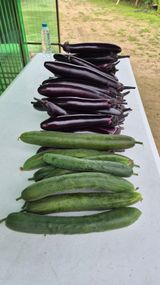 팜모닝 자유주제·사진전 게시글 이미지