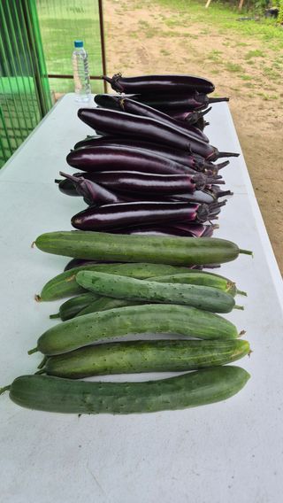 꿈치님의 자유주제 · 사진전 작성글 사진