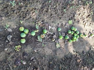 준이네 ^_^♡님의 자유주제 · 자유게시판 작성글 사진