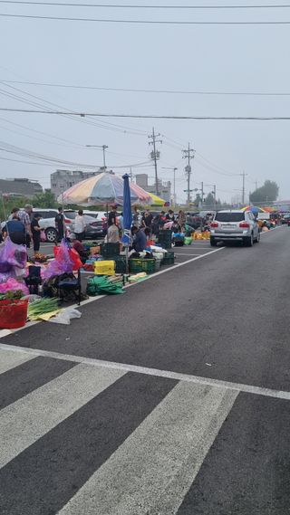 이천용님의 자유주제 · 자유게시판 작성글 사진