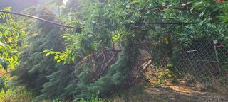 시연아빠님의 자유주제 · 자유게시판 작성글 사진