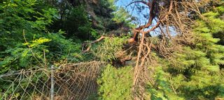 시연아빠님의 자유주제 · 자유게시판 작성글 사진