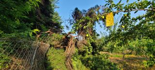 시연아빠님의 자유주제 · 자유게시판 작성글 사진