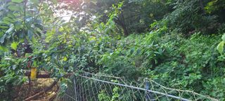 시연아빠님의 자유주제 · 자유게시판 작성글 사진