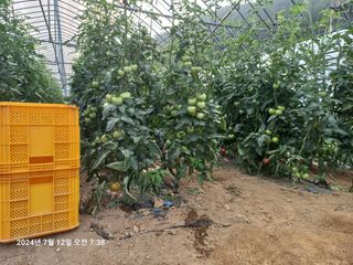 최창순님의 자유주제 · 자유게시판 작성글 사진