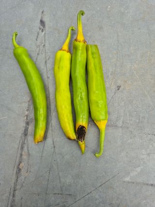 김정환님의 자유주제 · 자유게시판 작성글 사진