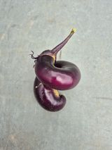 팜모닝 자유주제·자유게시판 게시글 이미지