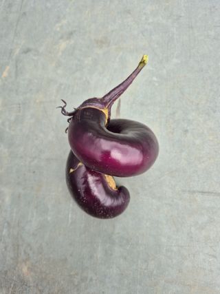 김정환님의 자유주제 · 자유게시판 작성글 사진