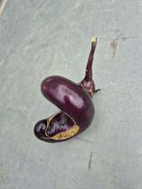 팜모닝 자유주제·자유게시판 게시글 이미지